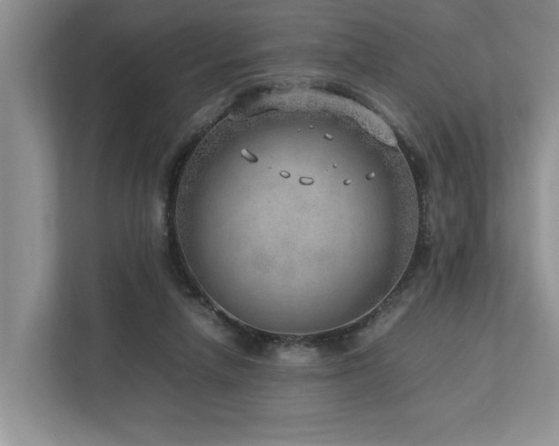 X0000112950258200908241348