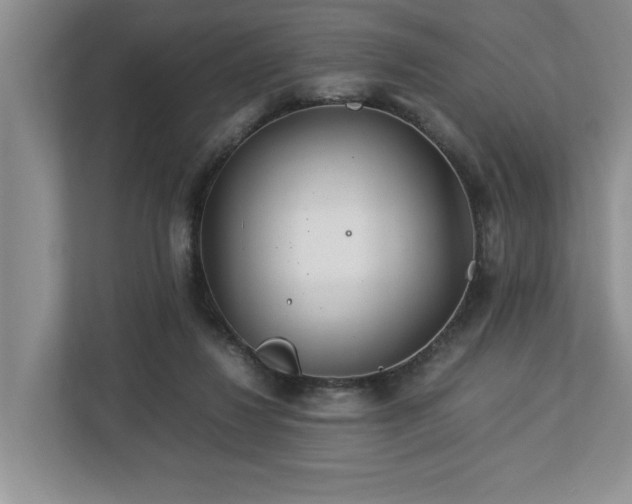 X0000112950260200908241348