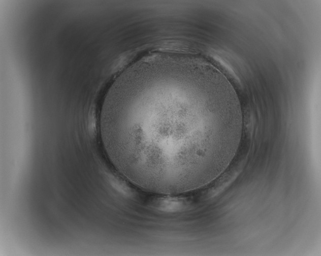 X0000112950261200908241348