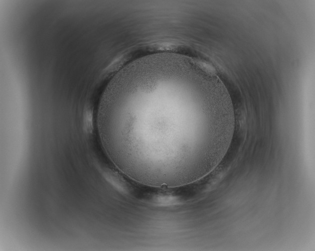 X0000112950262200908241348