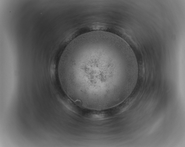 X0000112950263200908241348