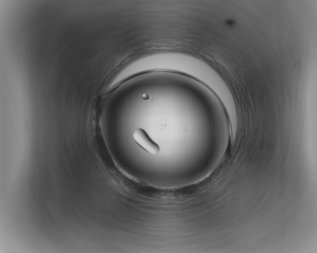 X0000112950264200908241348