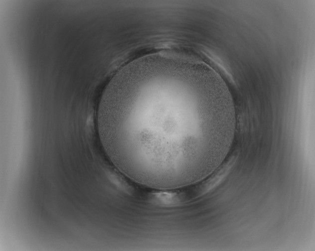 X0000112950265200908241348