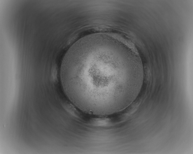 X0000112950266200908241348