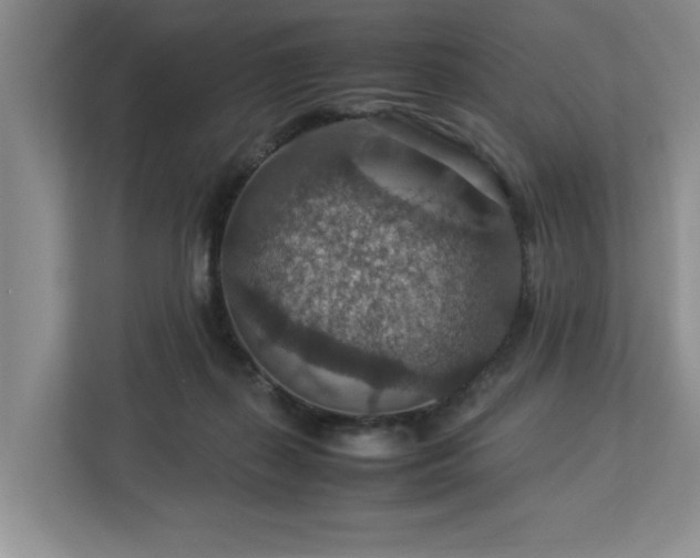 X0000112950267200908241348