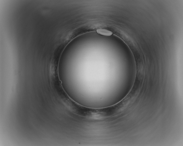 X0000112950268200908241348