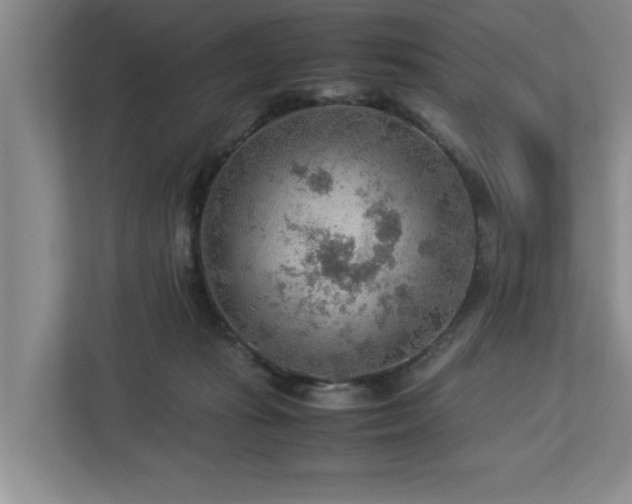 X0000112950269200908241348