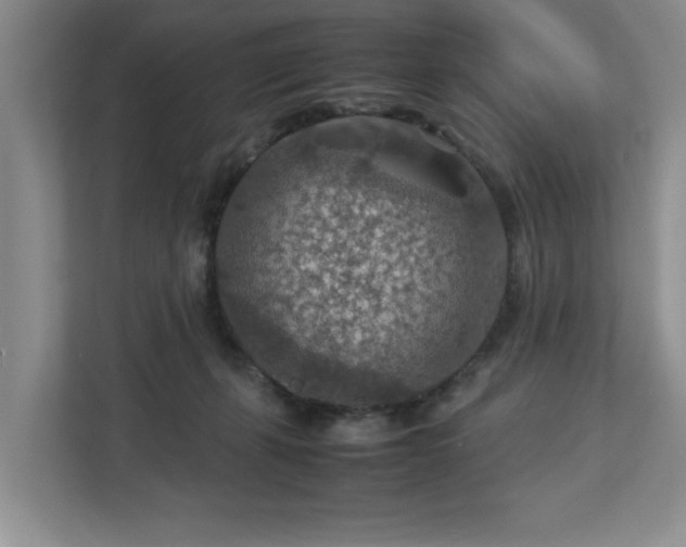 X0000112950271200908241349