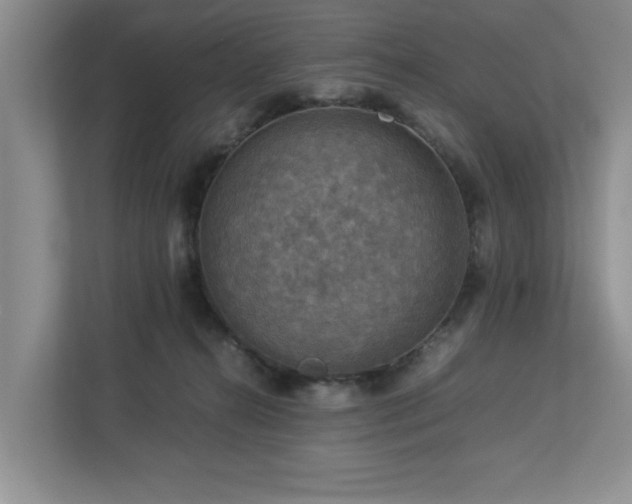 X0000112950272200908241349