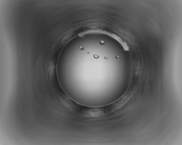 X0000112950279200908241349