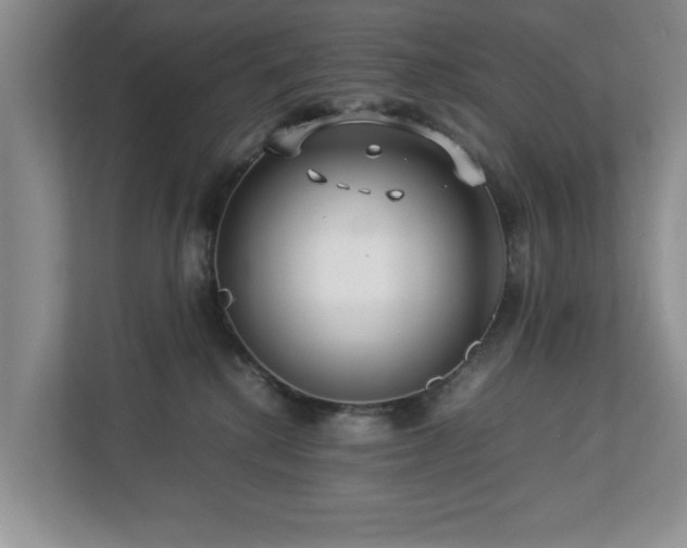 X0000112950280200908241349