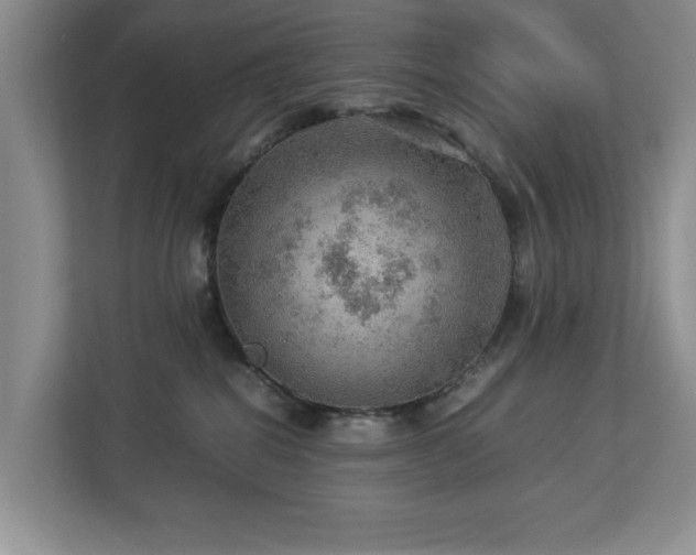 X0000112950282200908241349