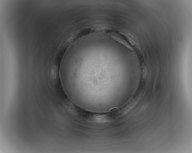 X0000112950283200908241349