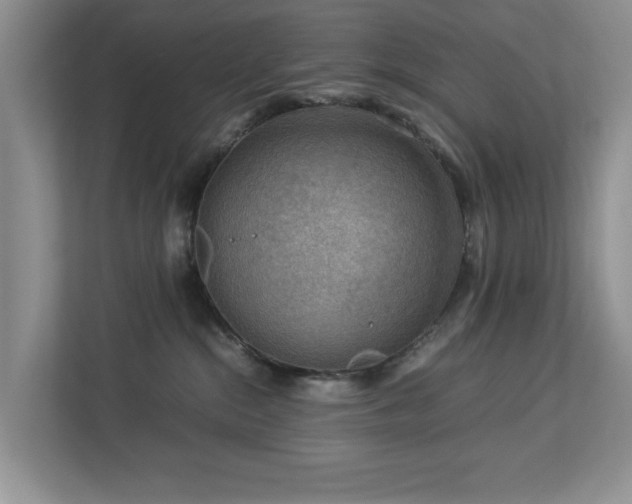 X0000112950284200908241349