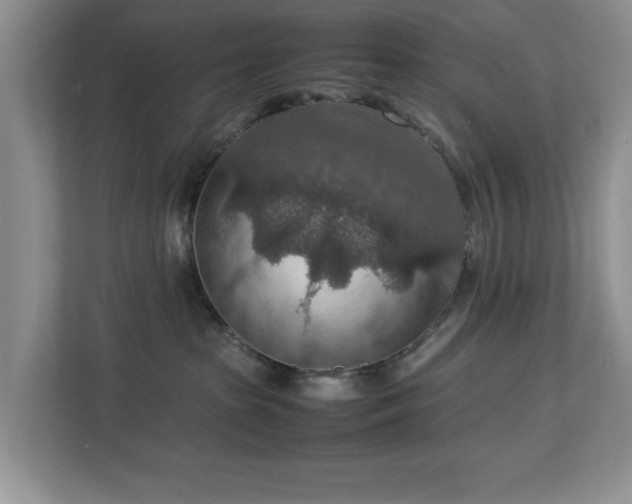 X0000112950285200908241349