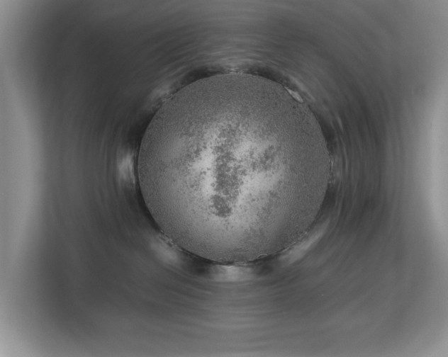 X0000112950286200908241349