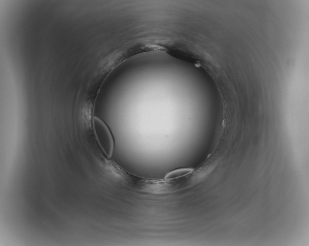 X0000112950288200908241349