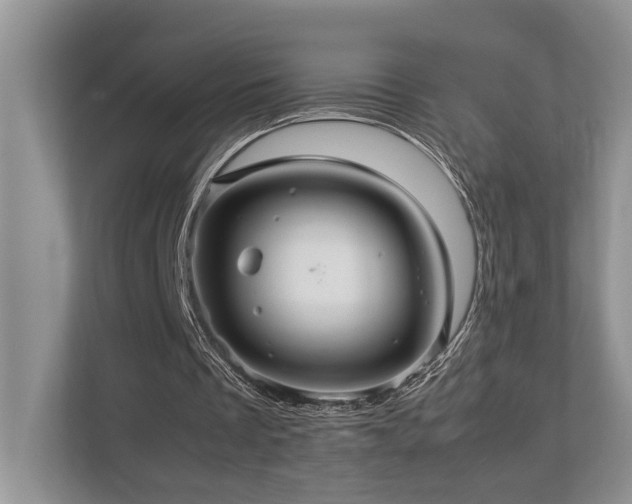 X0000112950289200908241348