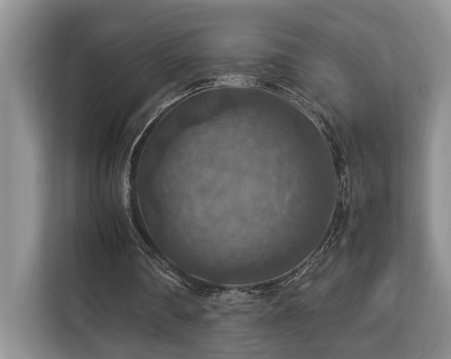 X0000112950290200908241348