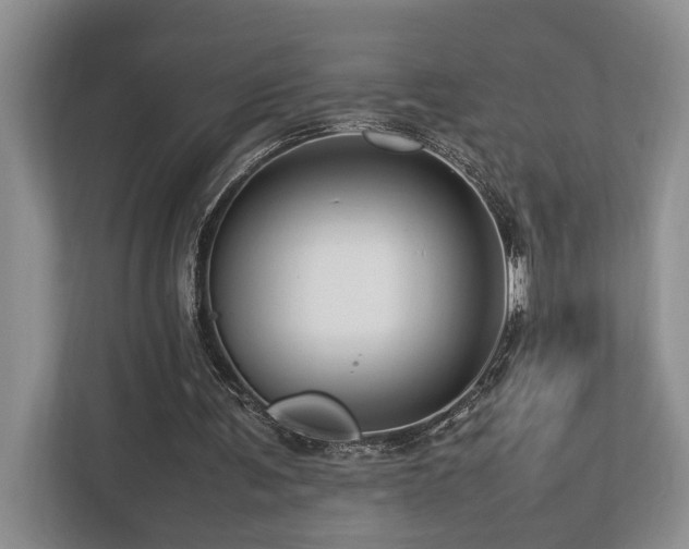 X0000112950291200908241348