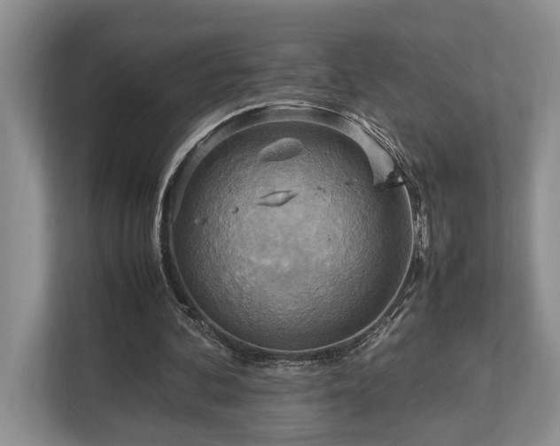 X0000112950292200908241348