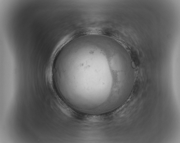 X0000112950293200908241348