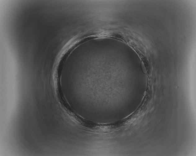 X0000112950295200908241348