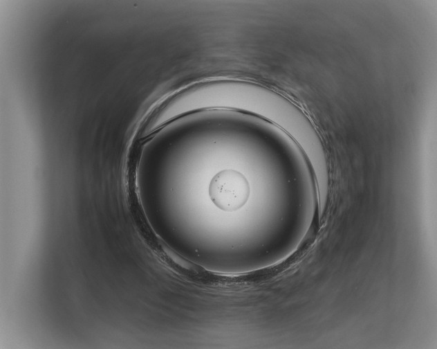 X0000112950296200908241348