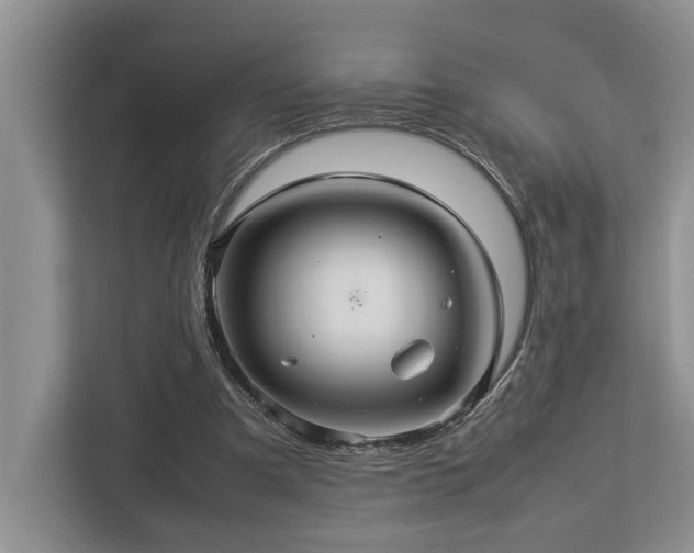 X0000112950297200908241348