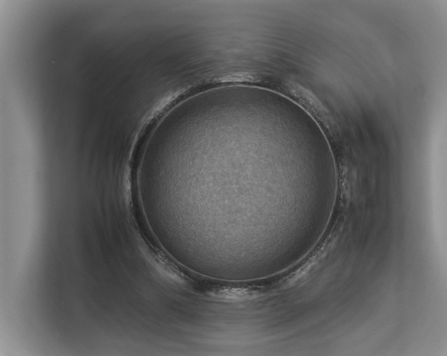 X0000112950298200908241348