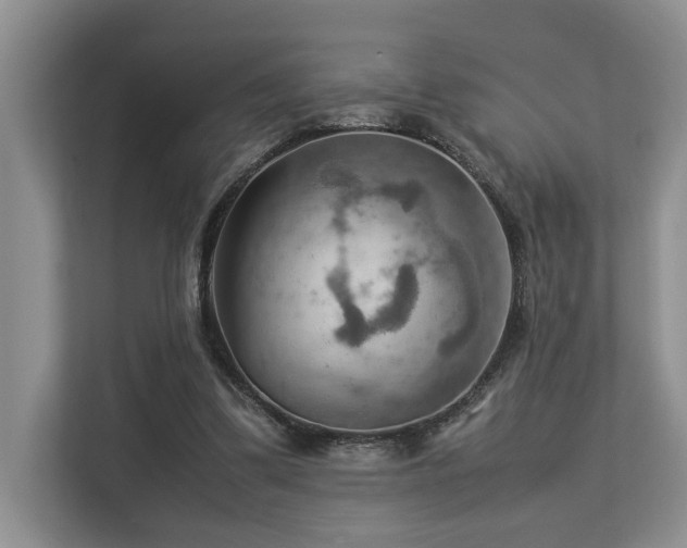 X0000112950299200908241348