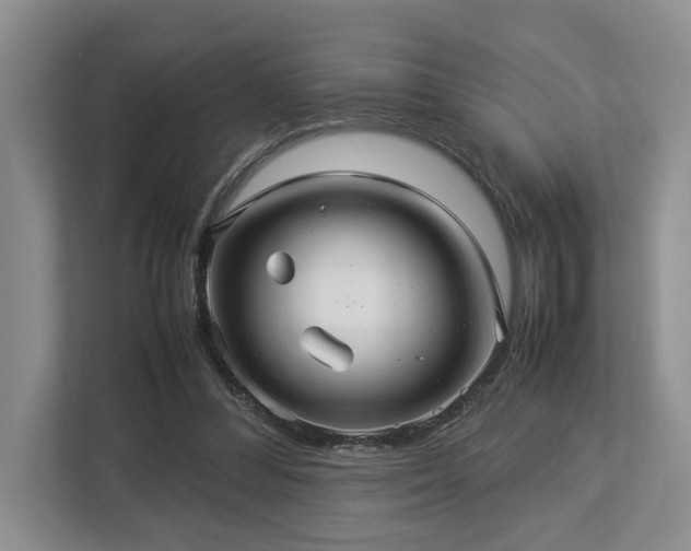 X0000112950300200908241348