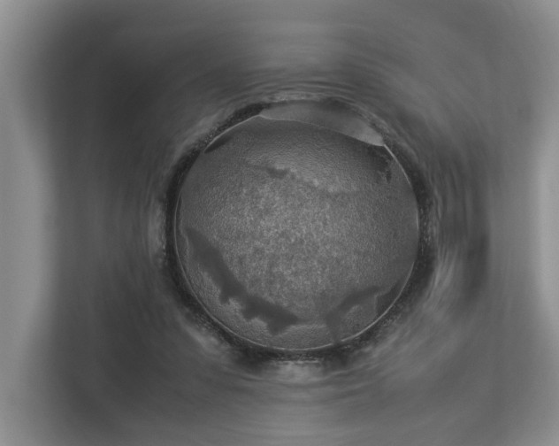 X0000112950303200908241348