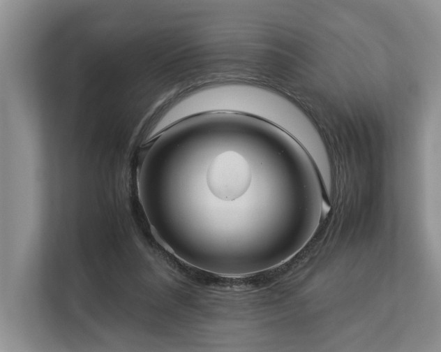 X0000112950304200908241348