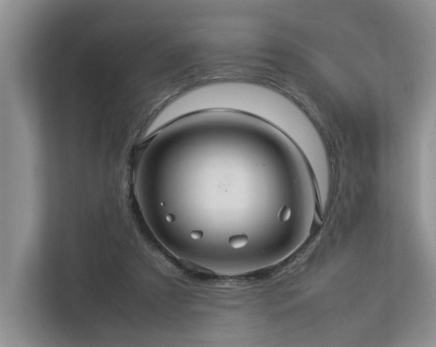 X0000112950305200908241348