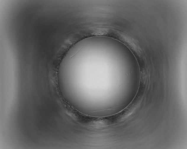 X0000112950307200908241348