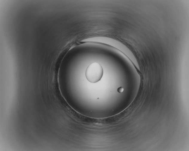 X0000112950308200908241348