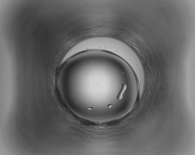 X0000112950309200908241348