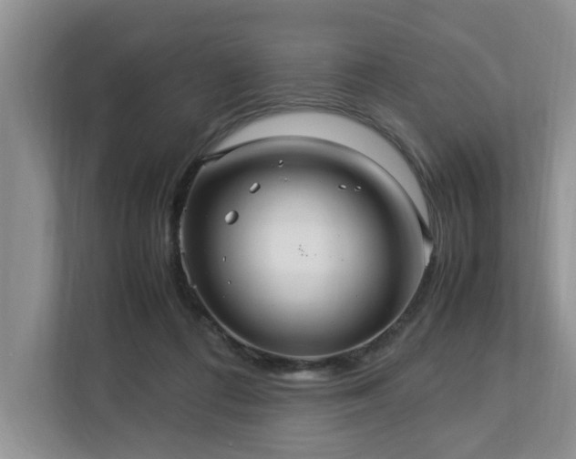 X0000112950312200908241348