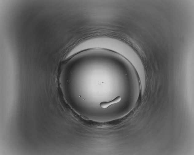 X0000112950313200908241348