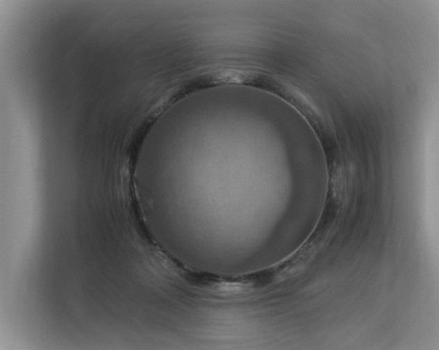 X0000112950314200908241348