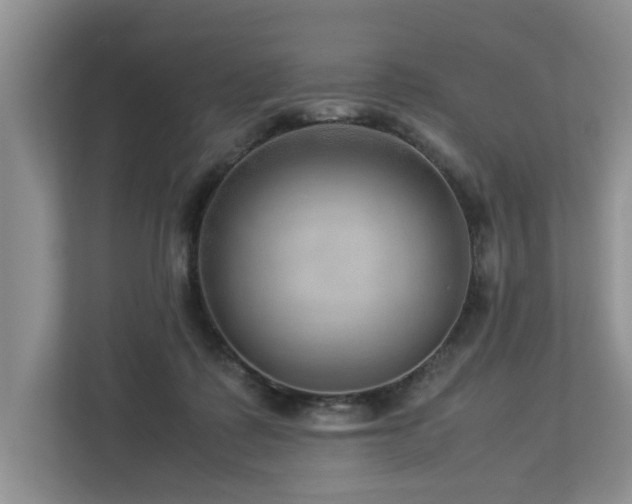 X0000112950315200908241348