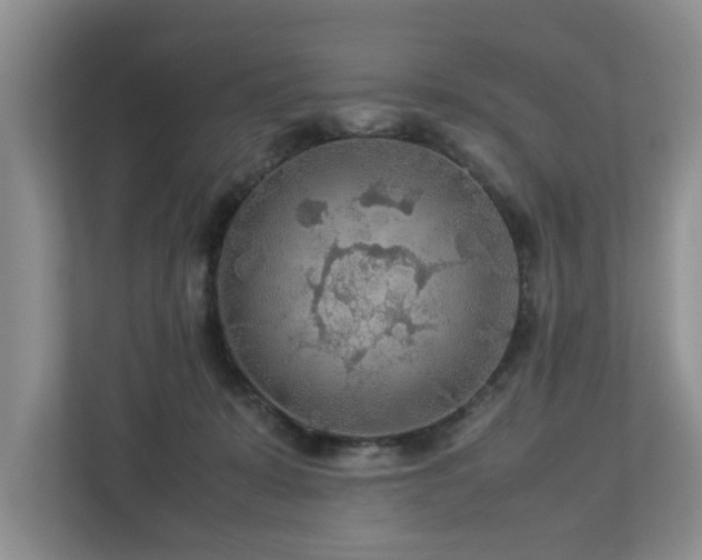 X0000112950319200908241348