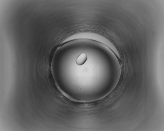 X0000112950320200908241348