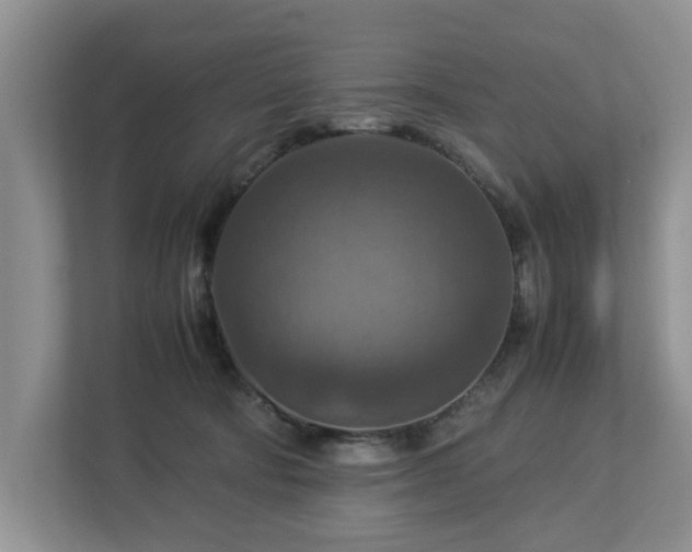 X0000112950322200908241348