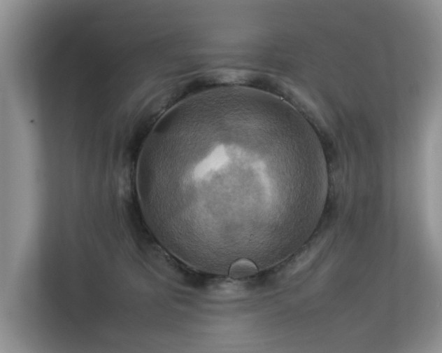 X0000112950325200908241348