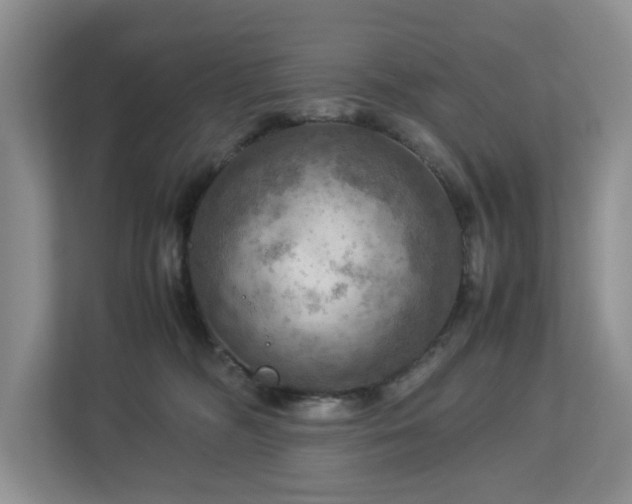 X0000112950326200908241348