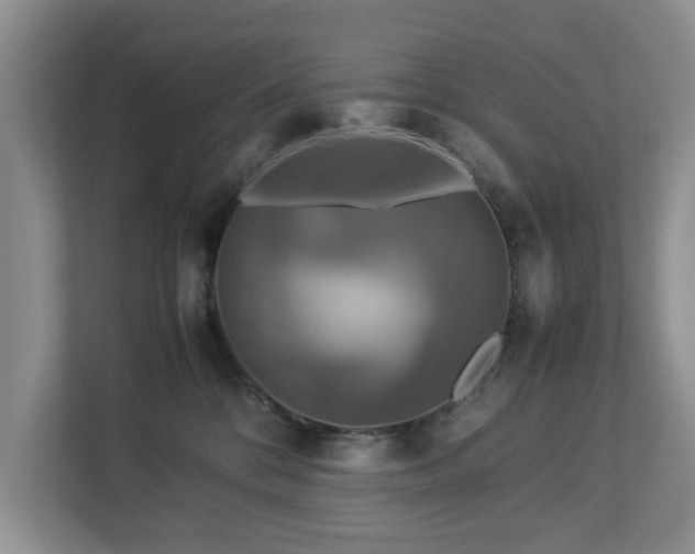 X0000112950328200908241348