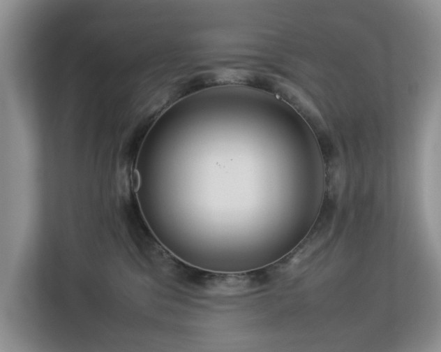 X0000112950329200908241348