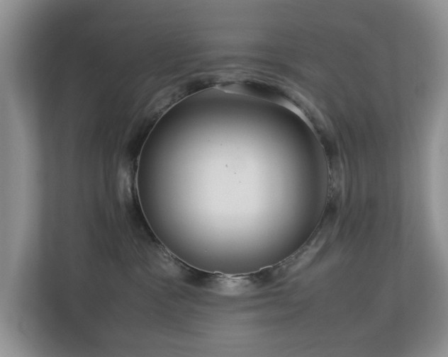 X0000112950333200908241348